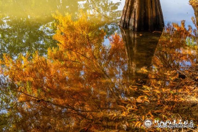 给个准信！盼了又盼的秋日“顶流”全部上线