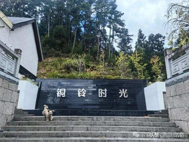 这个凭借21℃的天然清凉悄然“出圈”的森林小镇,别具异域风情!