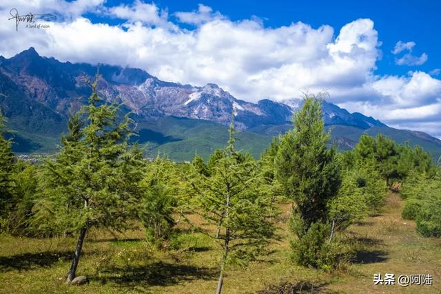 玉龙雪山前有很多野生婚纱基地，村民收费35元一场，露营却免费