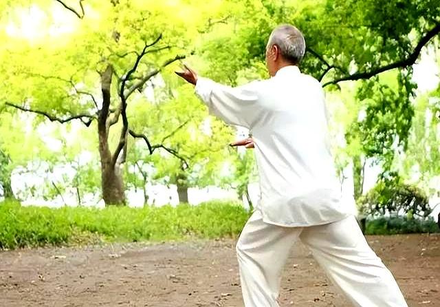 老师不会告诉你！你和太极拳高手，差一点