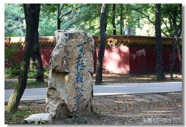 沈阳东陵郊野公园“精灵”出没