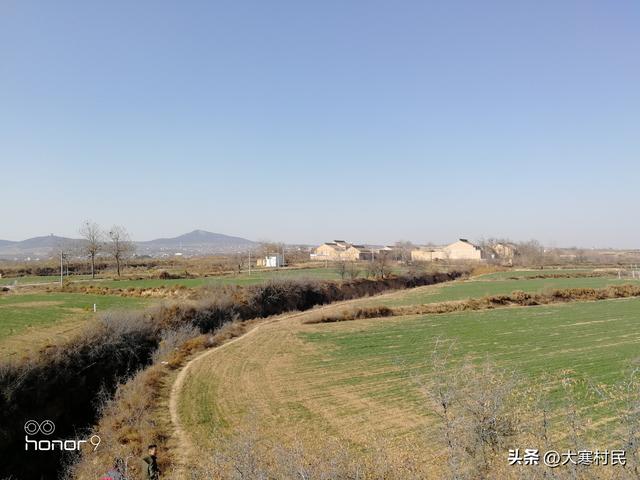 她姨的瓜子儿早饭