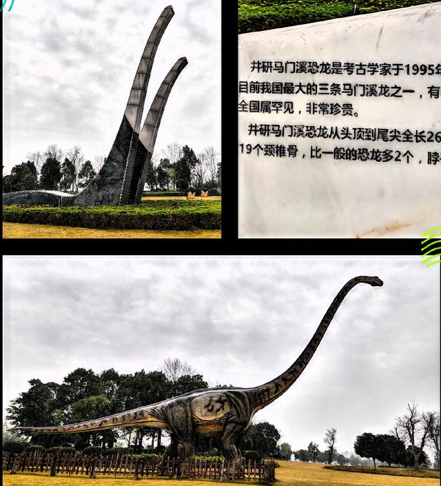 【井研行】天地画印研溪湿地