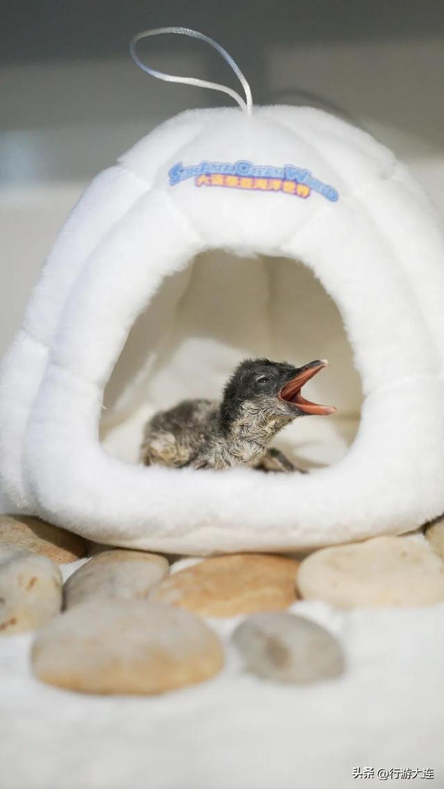 周末不无聊~带娃去这些地方“放电”，还能涨知识！