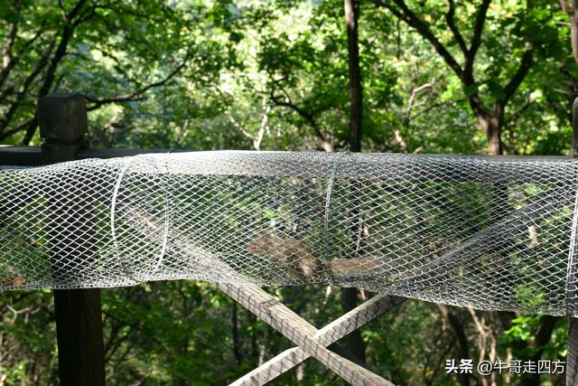 河北百草畔（中）：览尽三山舒望眼，行穿百草浣尘襟