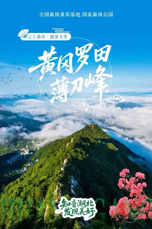 湖北发布最新榜单！TOP10是……