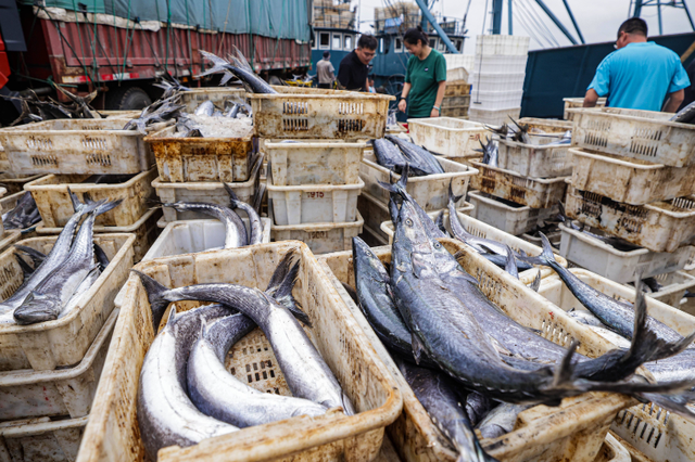 中日形势突变，上海数万日本人何去何从？中方立场明确	，已有答案​