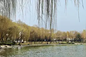 秒入夏天 近期西安市气温回升明显 最高气温维持在16～18℃图片