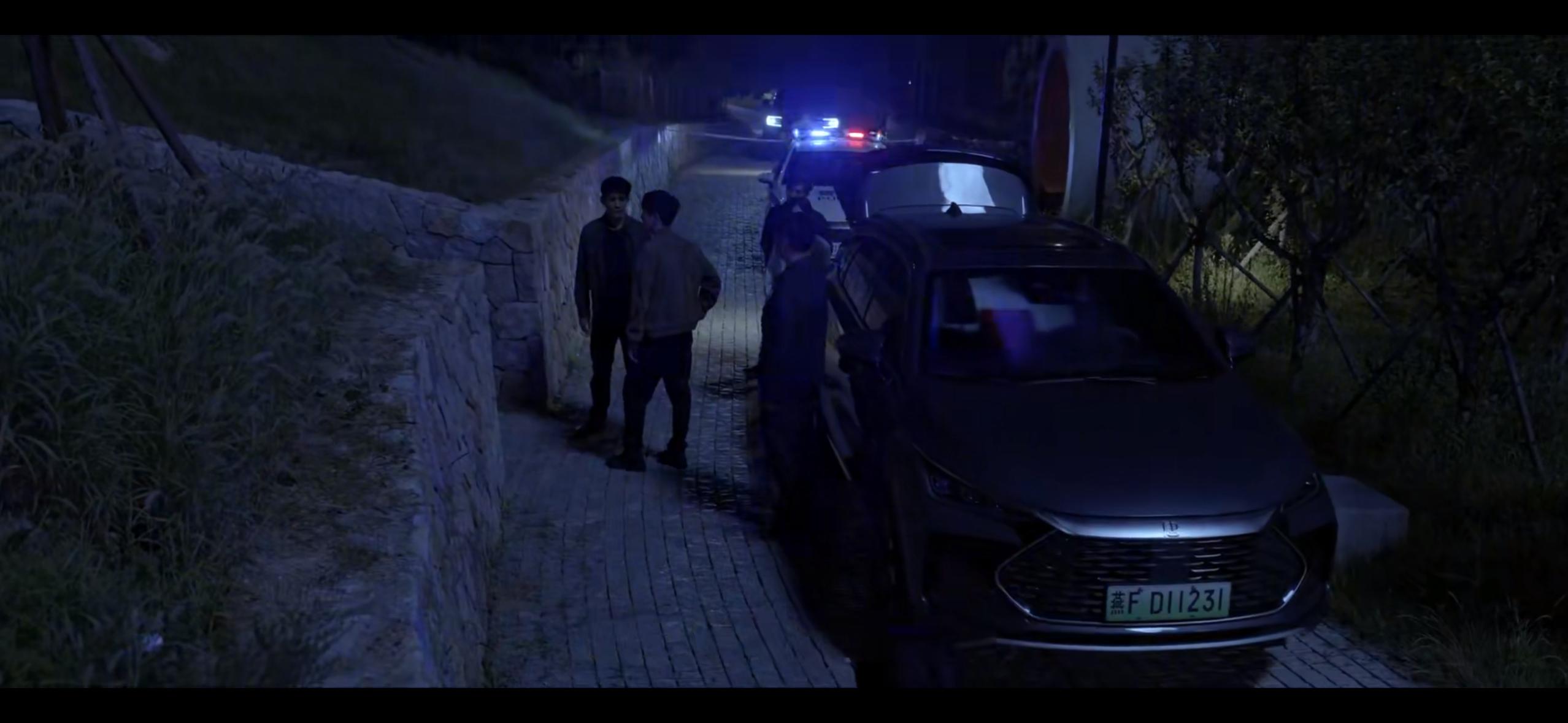 从"大众、奥迪"到"比亚迪",公务用车采购说明了什么?