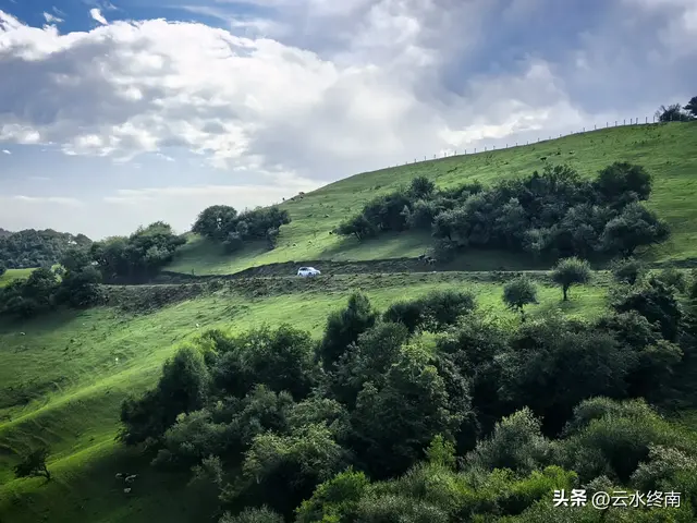 2025年8月自驾高寒川老爷岭草甸最新最全线路，老爷岭可走个环线