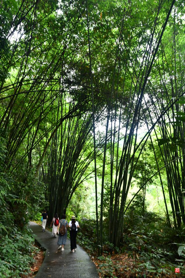 赤水四洞沟瀑布