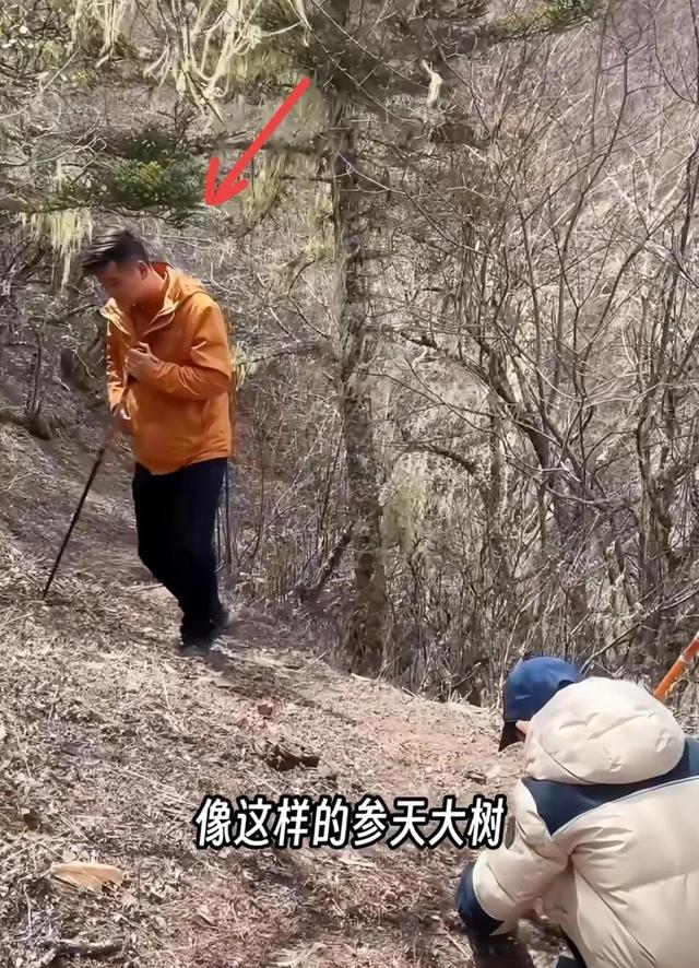 嫁给70岁富翁、包养4个男人？央视女主持私生活谣言有多离谱？