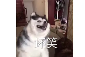 地球已经很难阻止比亚迪了图片