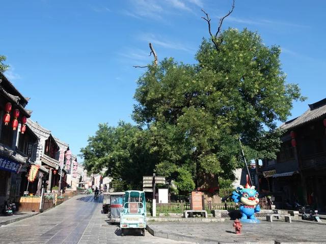山东，有一座2000年前的一线城市，去青州古城赶一场槐花雨