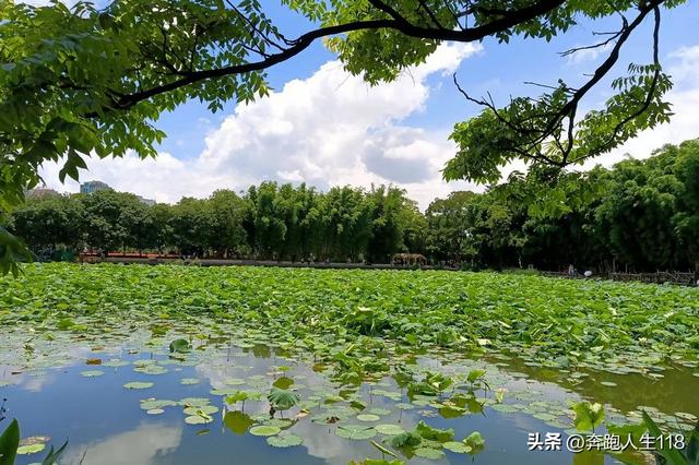 奔向雪域高原，滇藏行一:从钦州到昆明，再到楚雄