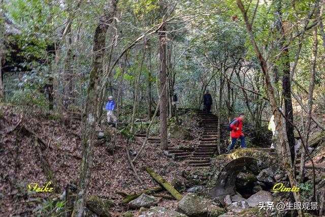 影记 | 衢州钱江源国家森林公园