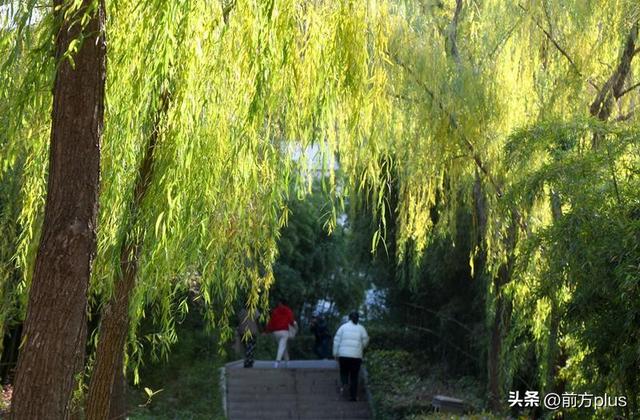 暖阳映照汉城湖 游人如织享冬趣