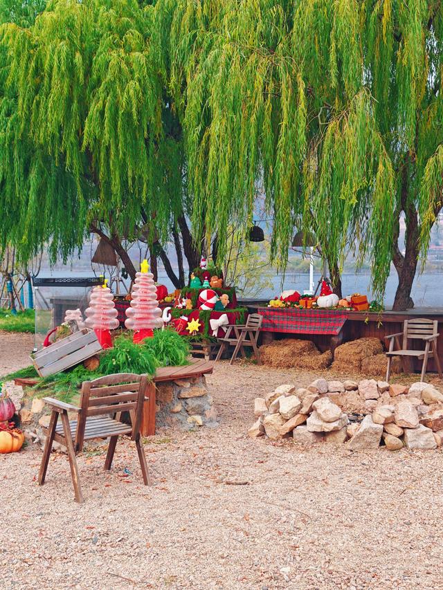 青岛宝藏露营地~私藏的野奢营地乌托邦！