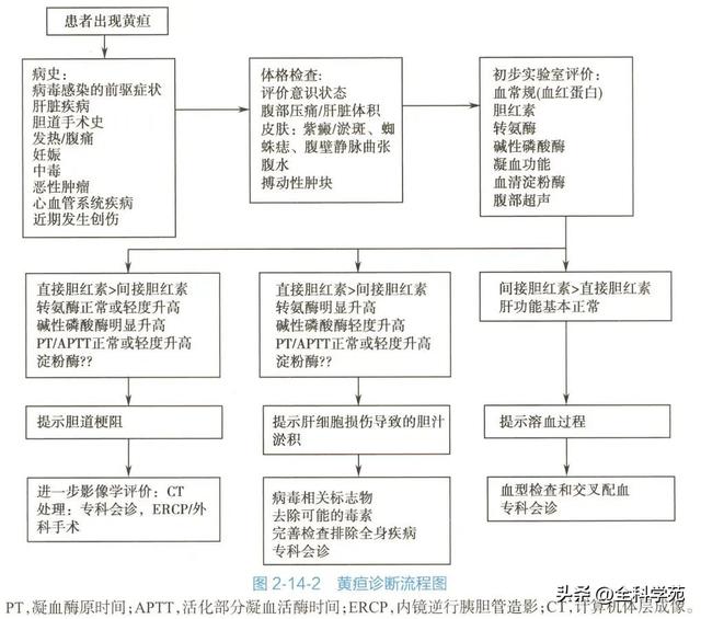 急诊常见症状 —— 黄疸