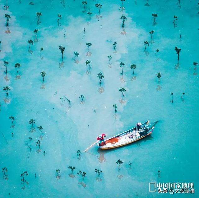 《中国国家地理》盛赞！霞浦，这片海上田园藏不住了