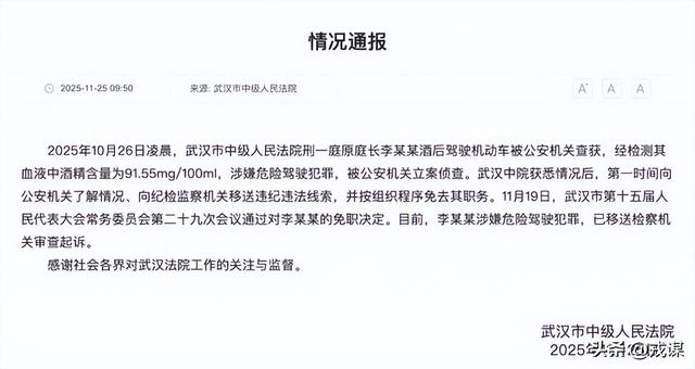 武汉中院一庭长醉驾狂飙！想提前退休躲追责？知法犯法必遭严惩