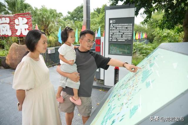 龙岩森林公园3公里步栈道焕新升级