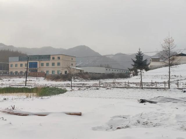 快看！是初雪！