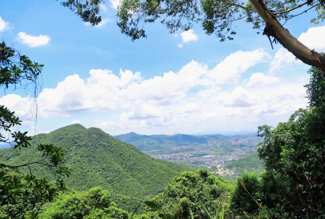 观音山的欢乐“不打烊”!错峰出游,欢乐加倍~