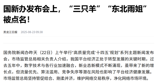 东北雨姐这一次完了，国新办点名，复出失败，彻底沦为反面教材！