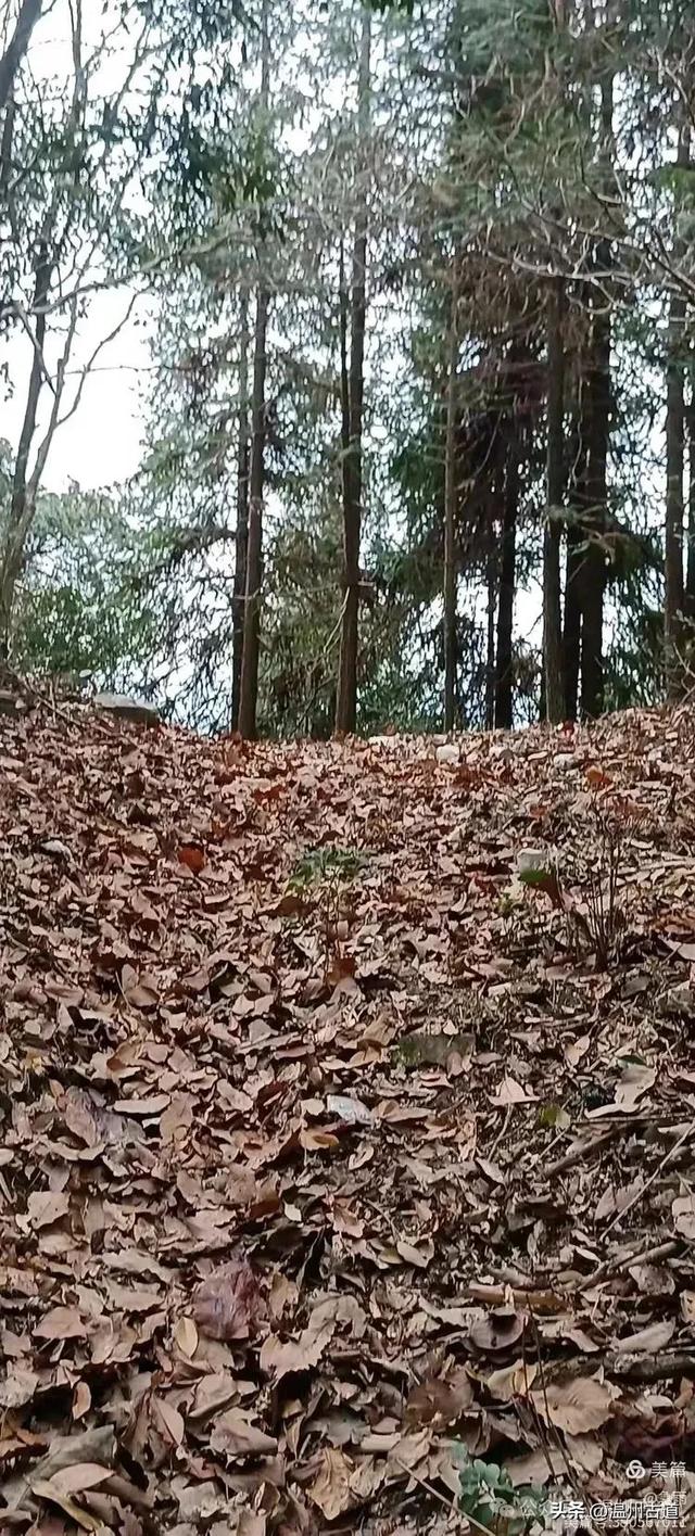 探秘楠溪江源头，深山中的秘境！