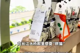 全世界都欺骗胖猫，生前遇渣女，死后还被奸商坑，网友评论更扎心图片