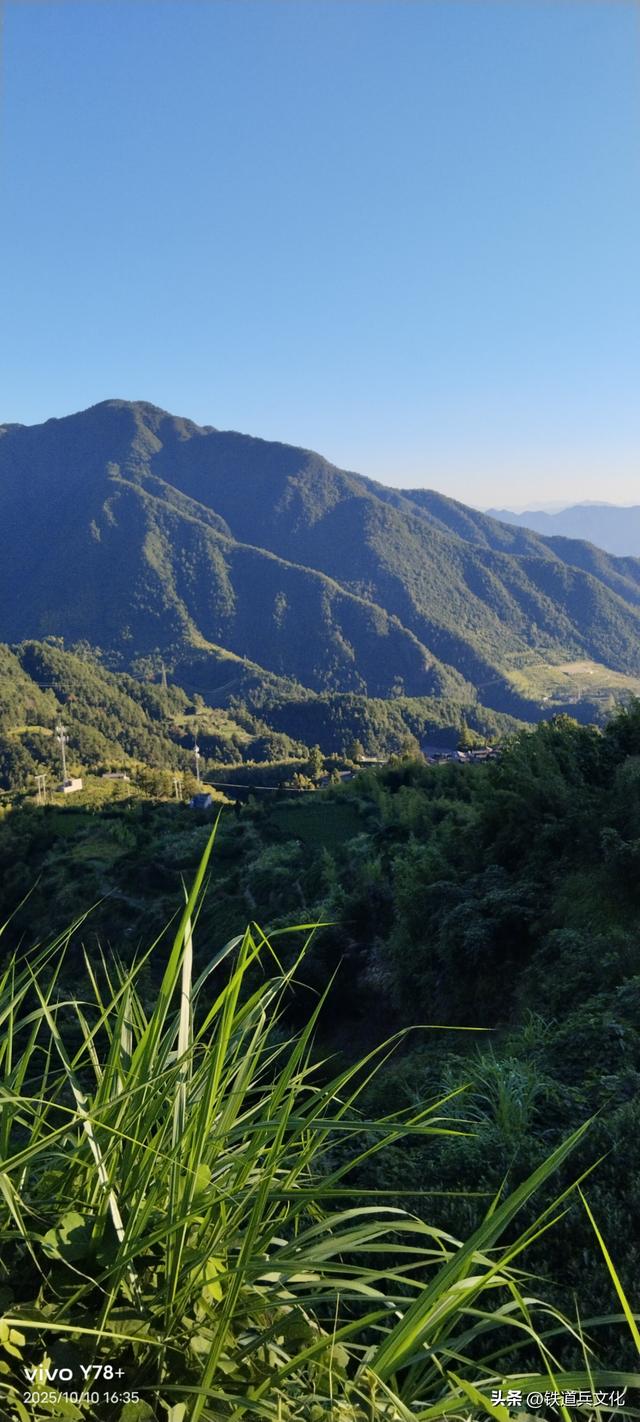 山路弯弯 作者：陈阿玲