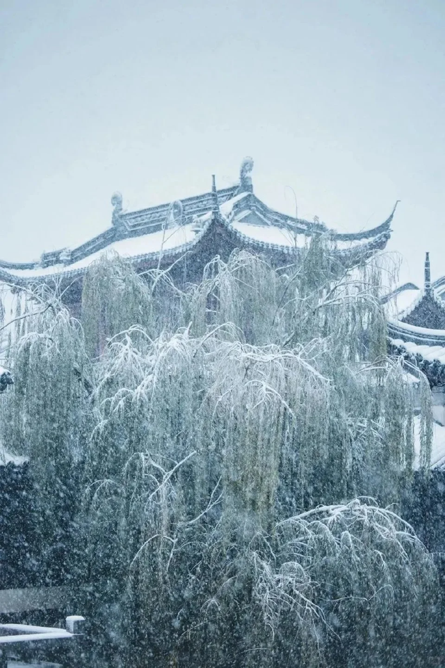 下雪啦！快去打卡聊城初雪限定皮肤！