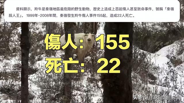 鳌太线：诡异到被封禁的中华龙脉，地处秦岭之上却比珠峰更加凶险