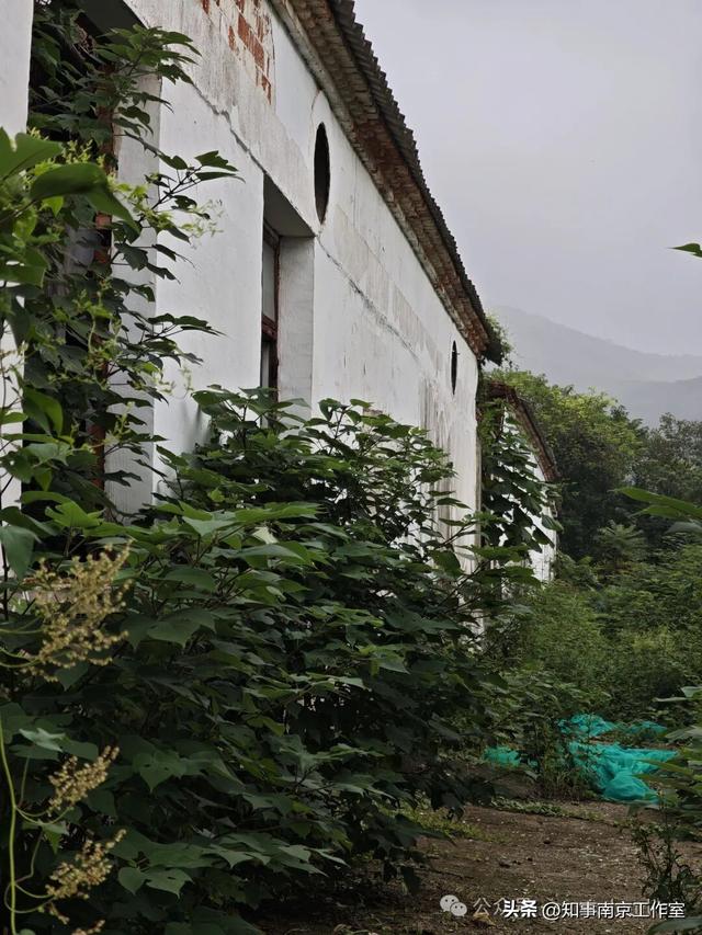 「转载」隐匿在南京老山的生化残城