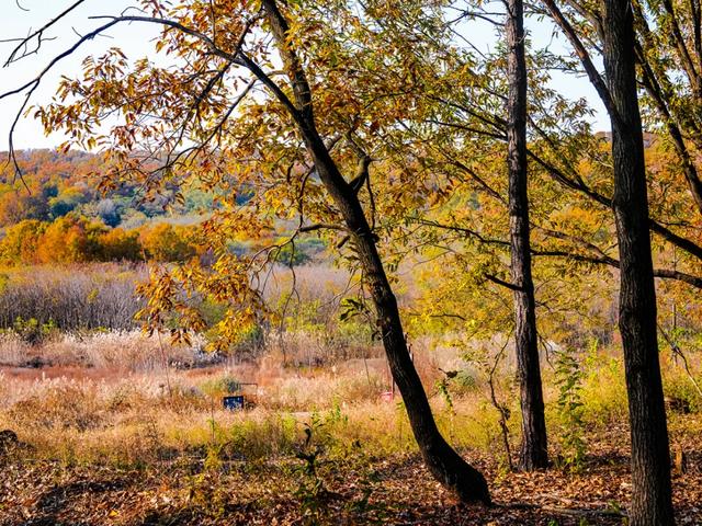 免费打卡明光女山，人少景美超级治愈~