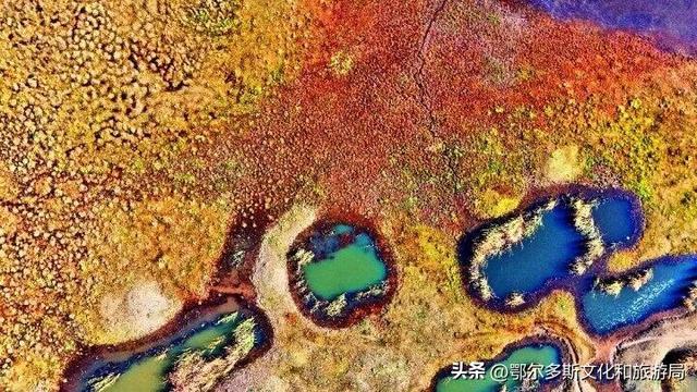 内蒙古杭锦旗：湿地秋景惹人醉