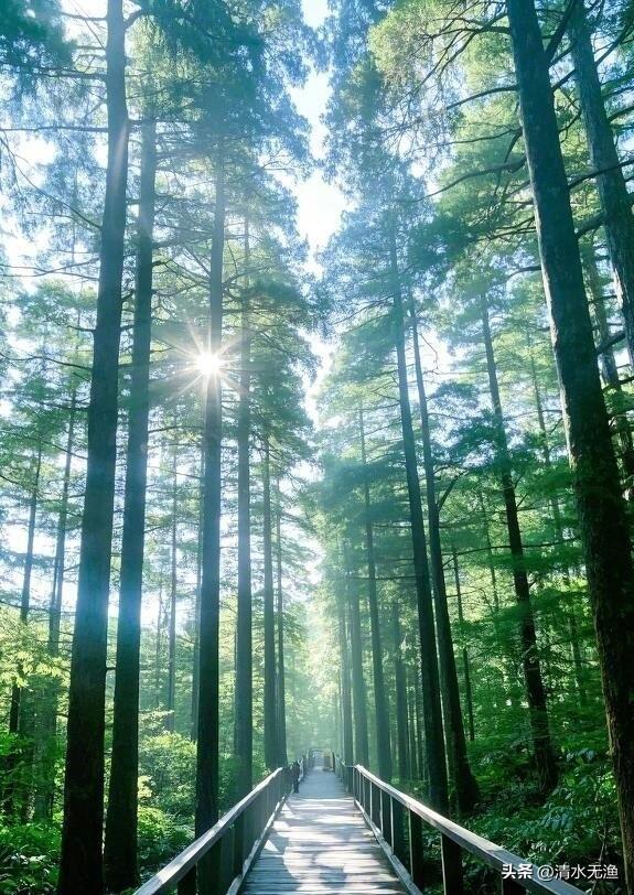 广西最被低估的一座山，距离桂林1.5小时车程，华南地区颜值顶流