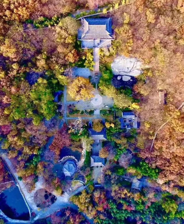 “曹洼大集”烟火逛吃+周边景区串联，去赶集啦！