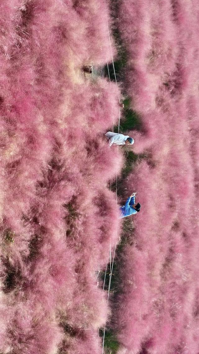 河南秋景大片，来了！