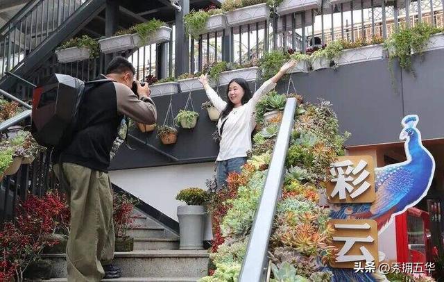 昆明大观篆新农贸市场：打造文旅消费新业态，提振假日消费新活力
