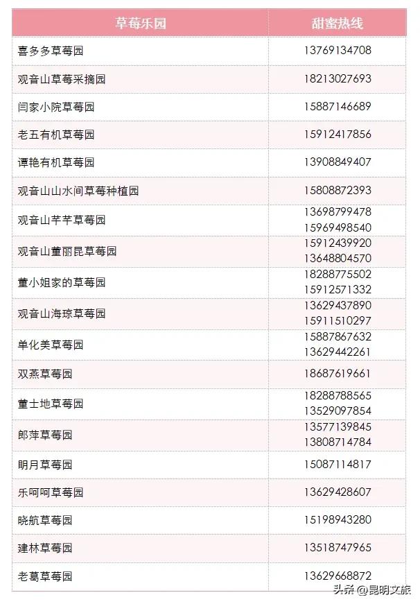别再问昆明哪里能摘草莓了!收下这份采摘地图,直接抄作业→