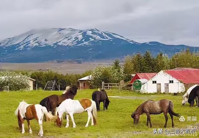 北欧旅游印象之九： 去冰岛吃蓝冰凌