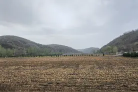 南泥湾图片