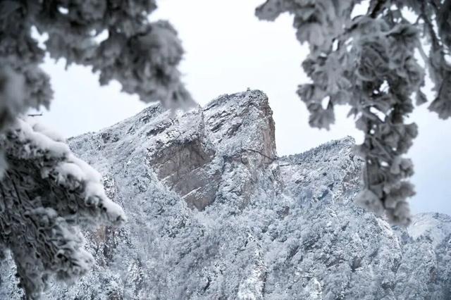 南阳初雪上线！这一景区免门票至12月31日！