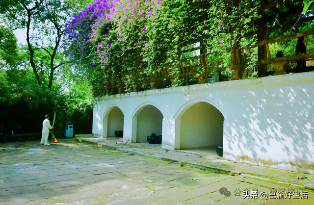 北碚公园竟是"大熊猫"命名地，原来藏着这么多秘密