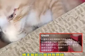 一直听说云南白药里的保险子很厉害，这回见识到究竟有多厉害了！图片