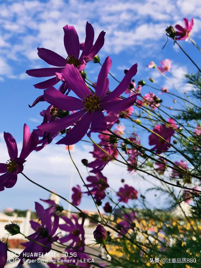 据我实际体验，冬天不宜自驾游