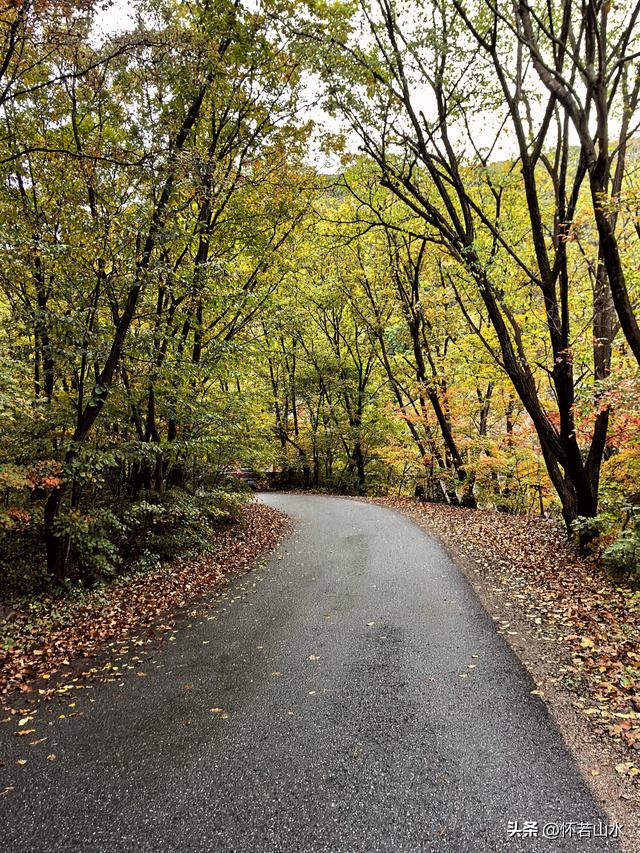 2025辽宁赏秋之旅日记(2)——游览丹东蒲石河森林公园