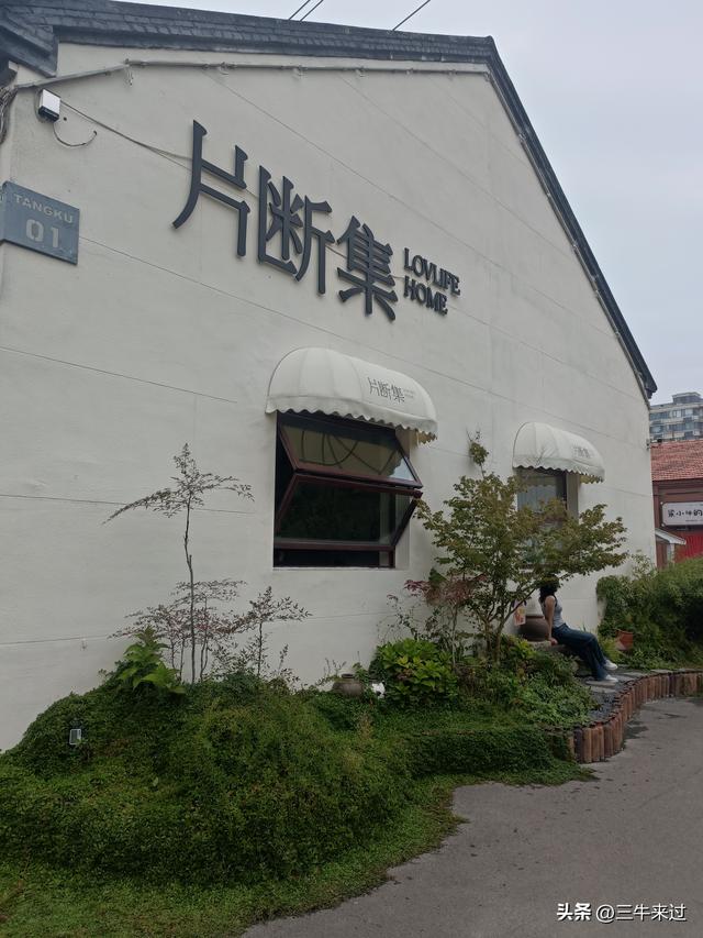 无为在歧路，国庆游淄博4